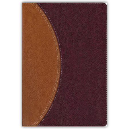 [54999] NIV Study Bible, Compact, Leathersoft, Tan/Burgundy, Red Letter Edition