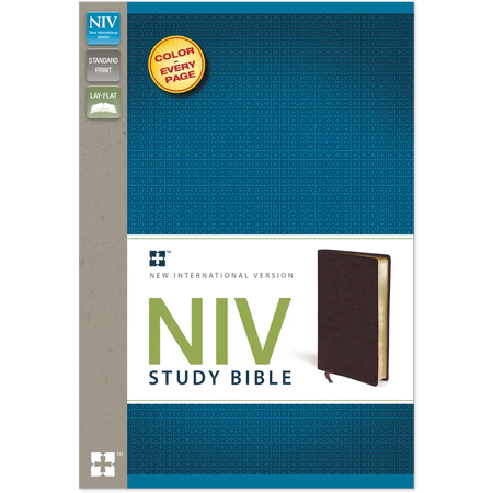 NIV Study Bible, Bonded Leather, Burgundy, Red Letter Edition Read